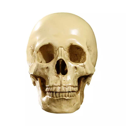 null